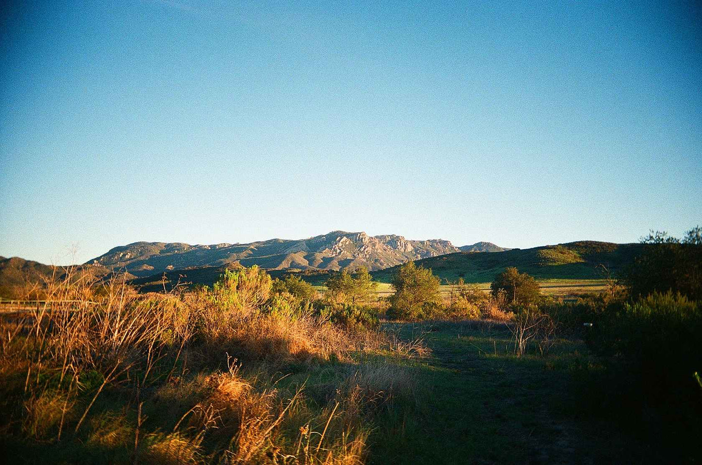 Kodak Eastman UltraMax 400 Color Negative Film (135)