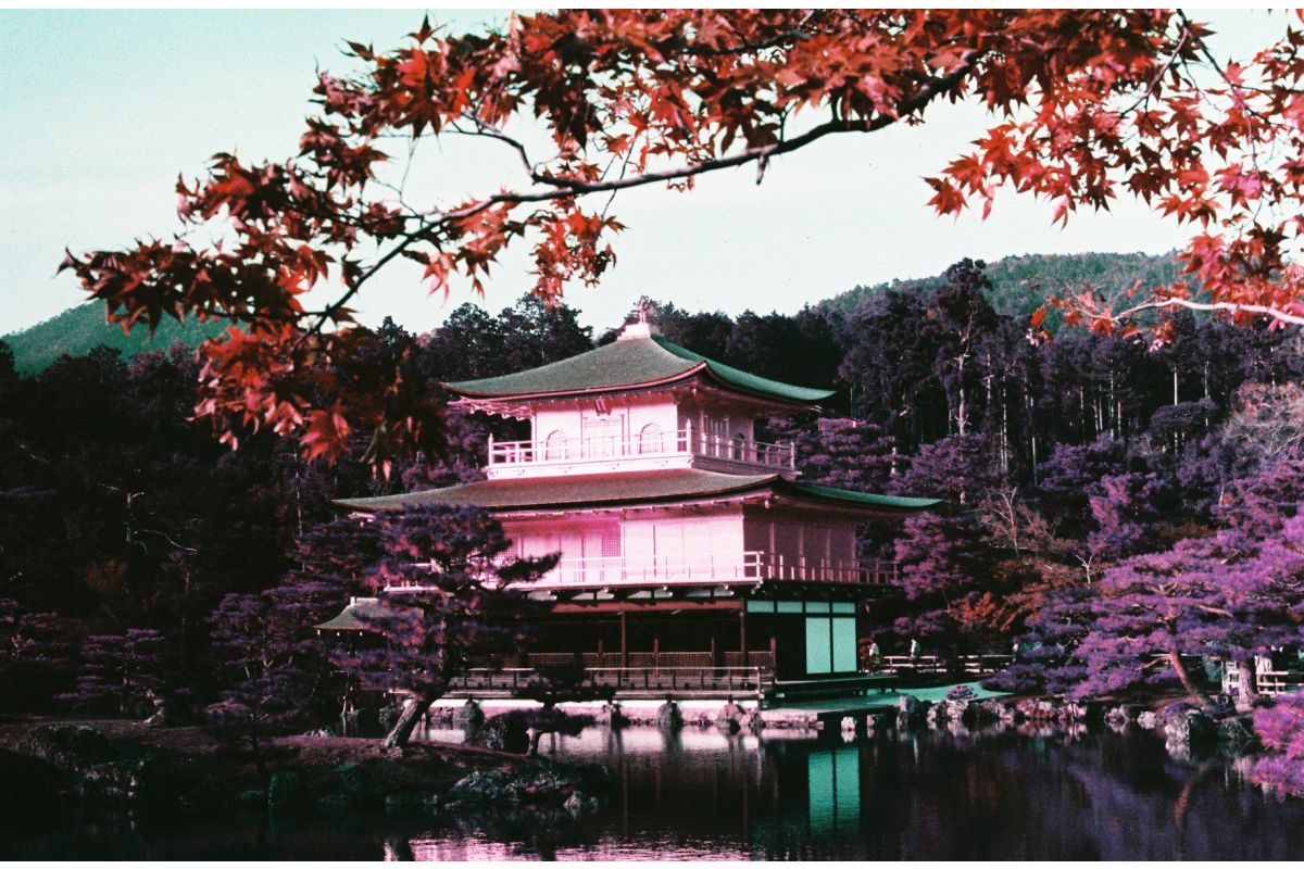 Lomography LomoChrome Purple Pétillant 35mm ISO 100–400