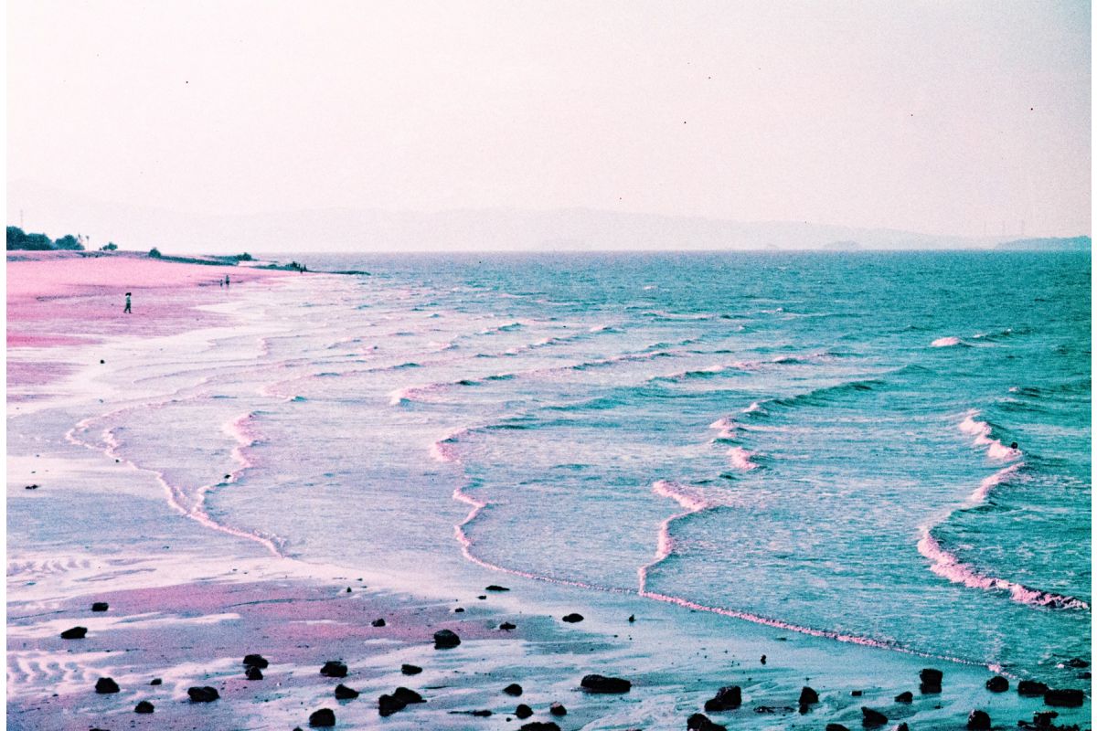 Lomography LomoChrome Purple Pétillant 35mm ISO 100–400