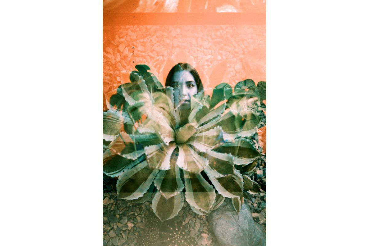 Lomography LomoChrome Turquoise 35mm ISO 100–400
