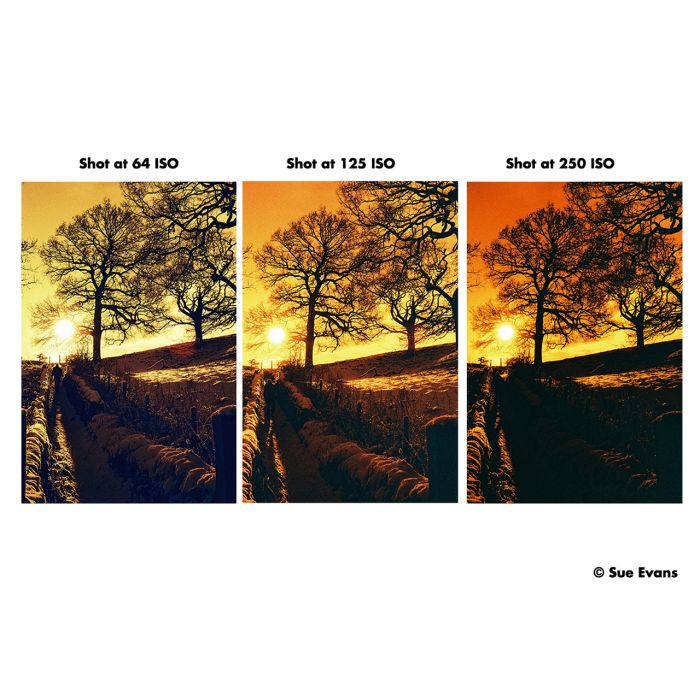 Harman RED 125 Color Negative Film (135)